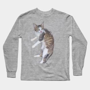 Kitten Long Sleeve T-Shirt